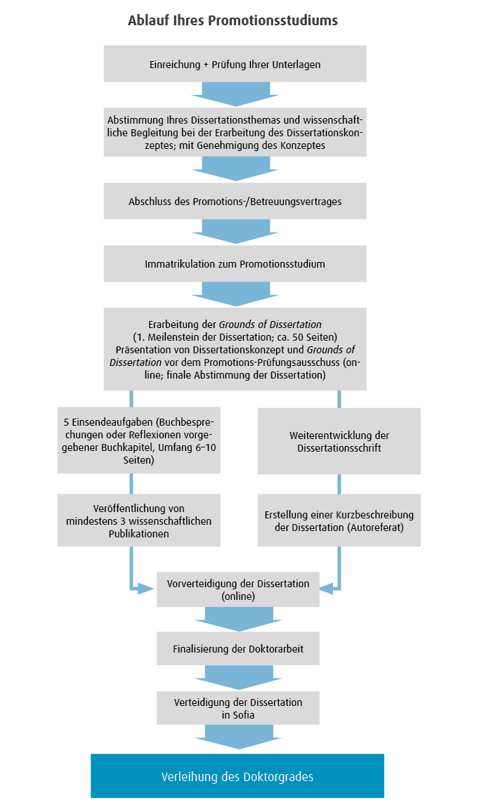 Ablauf Ihres Promotionsstudiums