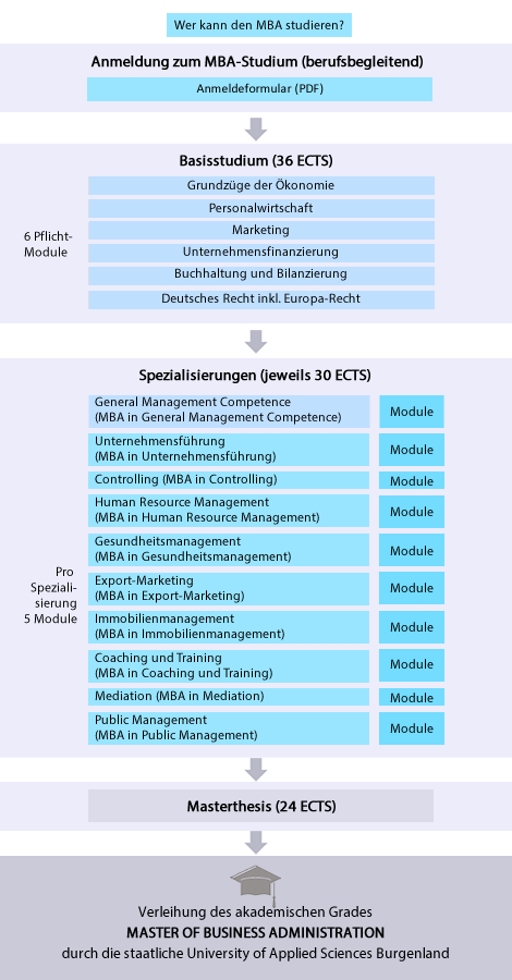 MBA-Schaubild